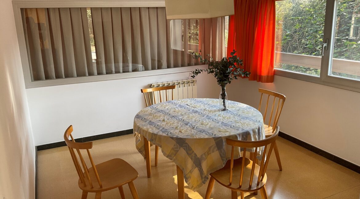 comedor1